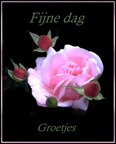 Schones bilder