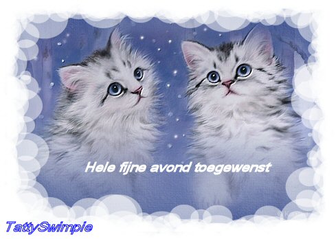 Schones bilder
