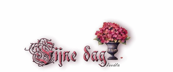Schones bilder