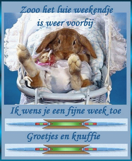 Schones bilder
