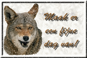 Schones bilder