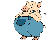 Schwein bilder