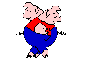 Schwein bilder