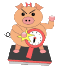 Schwein bilder