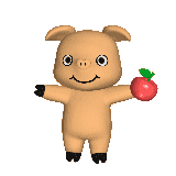Schwein bilder