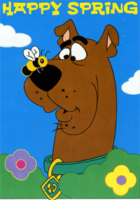 Scooby doo bilder