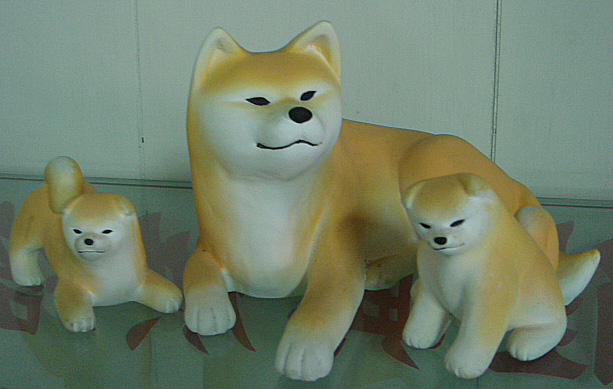 Shibas bilder