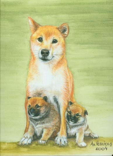 Shibas