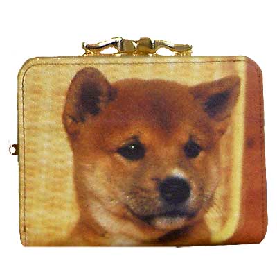 Shibas bilder