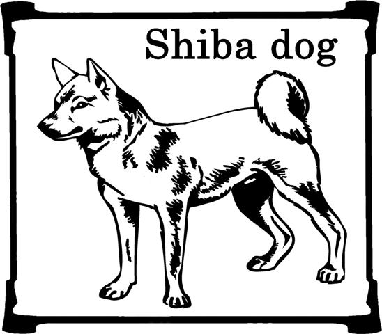 Shibas