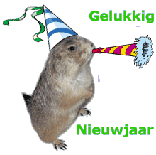 Silvester_und_neujahr bilder
