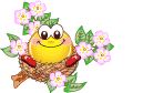 Smileys2 bilder