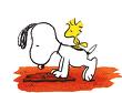 Snoopy bilder