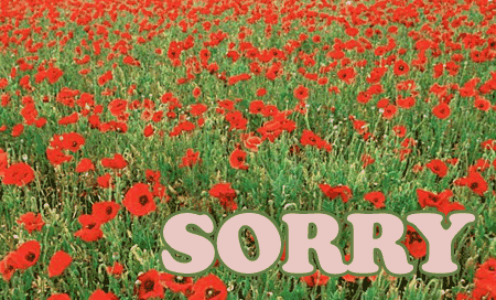 Sorry