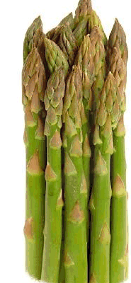 Spargel