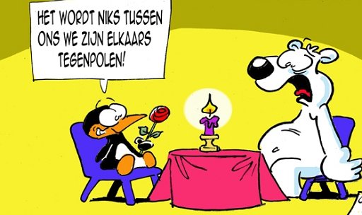 Spass bilder bilder