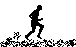 Sport bilder