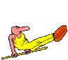 Sport bilder
