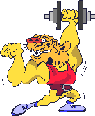 Sport bilder