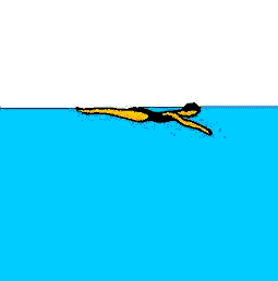 Sport bilder