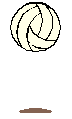Sport bilder