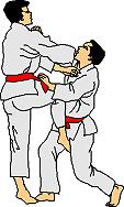 Sport bilder