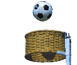Sport bilder