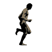 Sport bilder