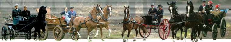 Sport bilder