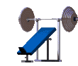 Sport bilder