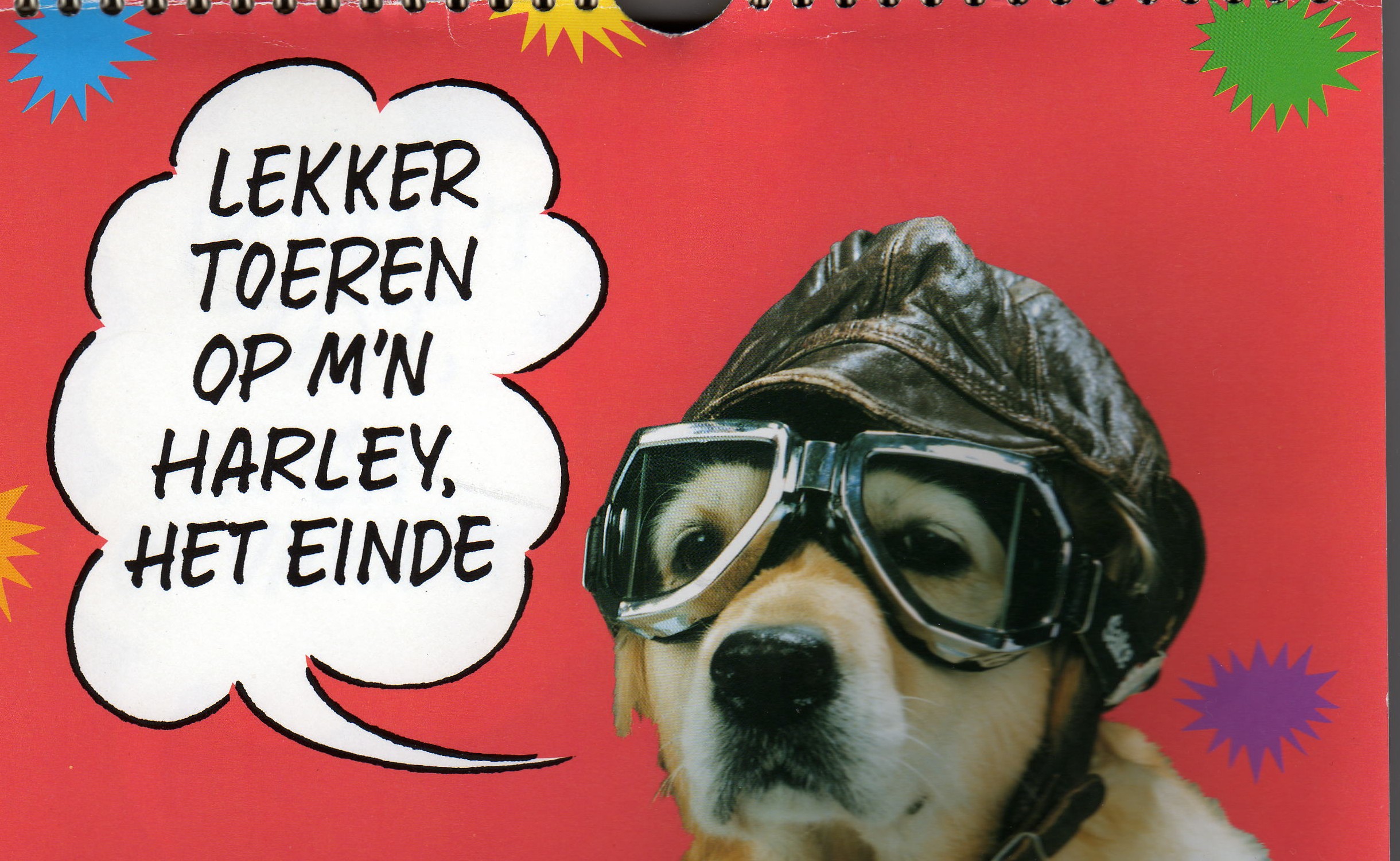Sport bilder