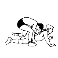 Sport bilder