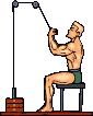 Sport bilder