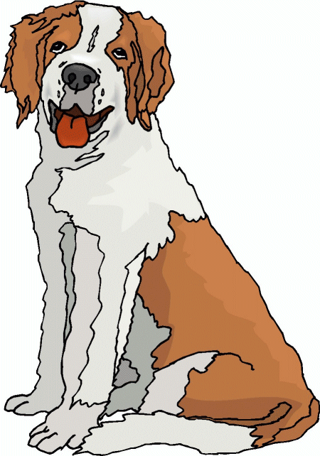 St bernhardshund