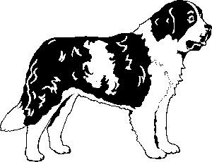 St bernhardshund