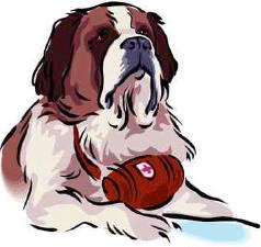 St bernhardshund bilder