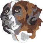 St bernhardshund2