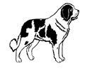 St bernhardshund2