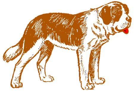 St bernhardshund2