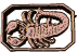 Sternbilder 3d bilder