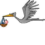 Storche bilder