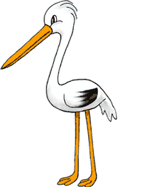 Storche bilder