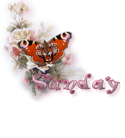 Tagen bilder