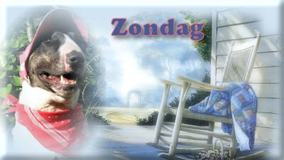 Tagen bilder
