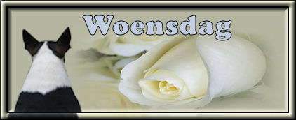 Tagen bilder