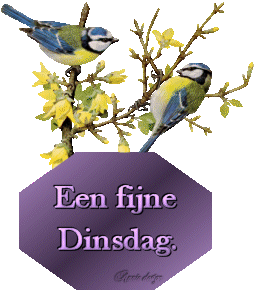 Tagen bilder