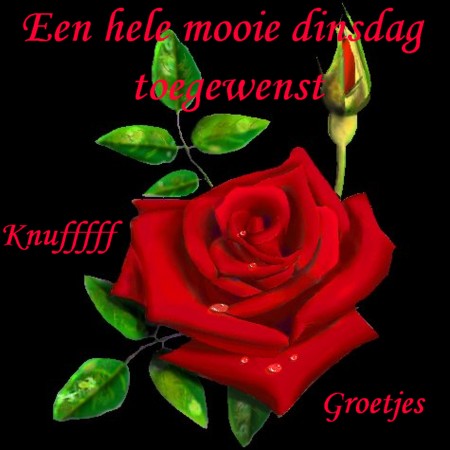 Tagen bilder
