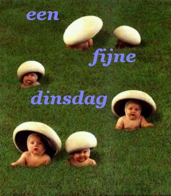 Tagen bilder