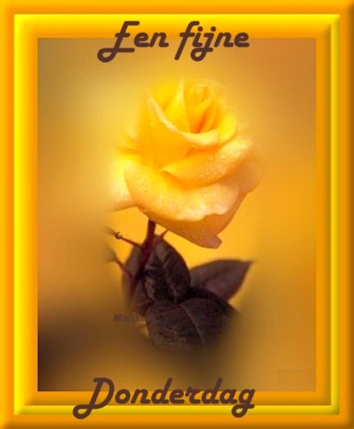 Tagen bilder