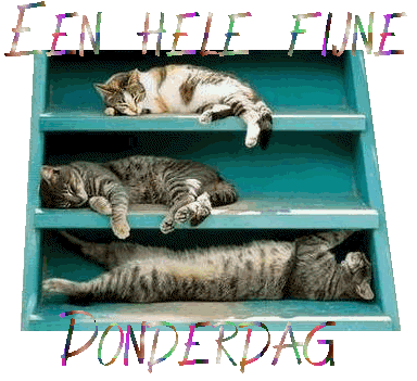 Tagen bilder